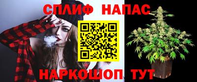 СК Мариинск