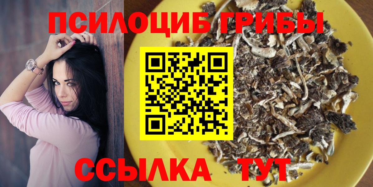 Псилоцибиновые грибы Psilocybe Заводоуковск